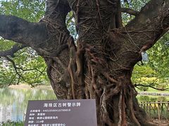 -晓港公园