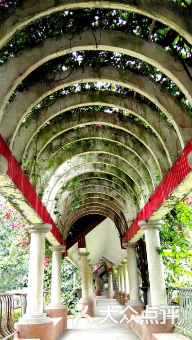 热带植物园-图片-开远市周边游-大众点评网