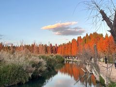 -捞渔河湿地公园