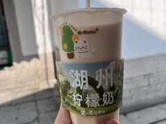 -猫的魔法密林(衣裳街店)