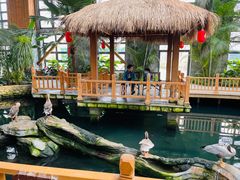 -南宫五洲植物乐园