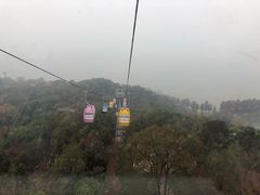 -东湖磨山景区