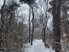 -长春市南湖公园