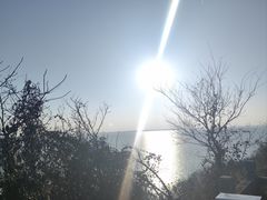 -巢湖姥山岛