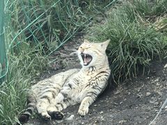 -萍乡武功山风景名胜区