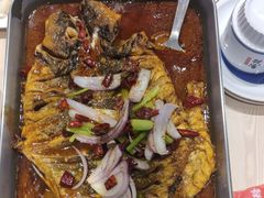 -鱼酷活鱼烤鱼(沈阳大悦城店)