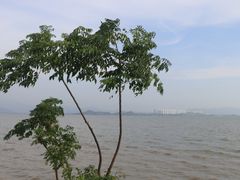 -深圳湾公园(南山区)