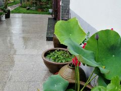 -龙湖东院农庄(乡间小路店)