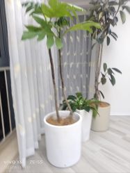-HEYAN荷妍专业脱毛连锁机构