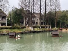 -乌村