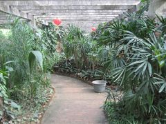 -广东茂名森林公园