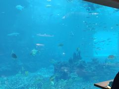 -天房洲际度假酒店宴会厅