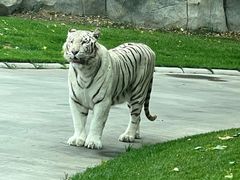 -北京野生动物园