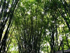 -英西峰林·洞天仙境