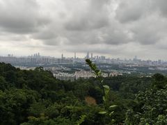 -火炉山森林公园