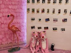 -嘉兴华美达酒店(秦逸路店)