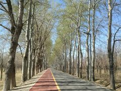 -东郊湿地公园