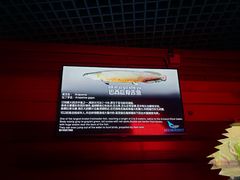 -太平洋海底世界