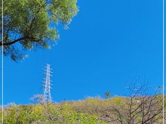 -白水寺森林公园