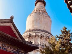 -五台山风景区