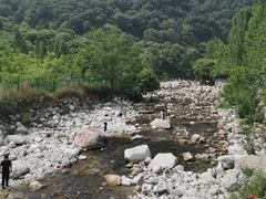 -沣峪口