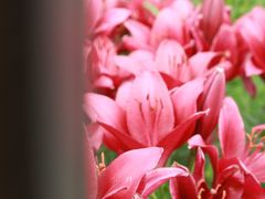 -长春公园(普阳街道)