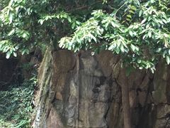 -浙北大峡谷
