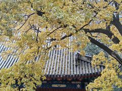 -香山公园