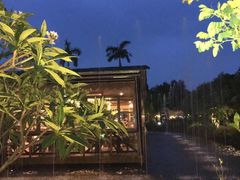 -花溪雨·森林餐厅(石基店)