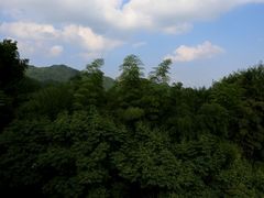 -罗田薄刀峰风景区