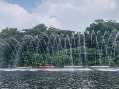 -济州森林小火车生态公园