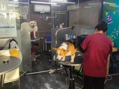 -美联众合动物医院(唯恩分院)