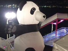 -飞跃加拿大