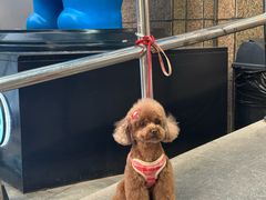 -王繁星面馆(西安熙地港店)