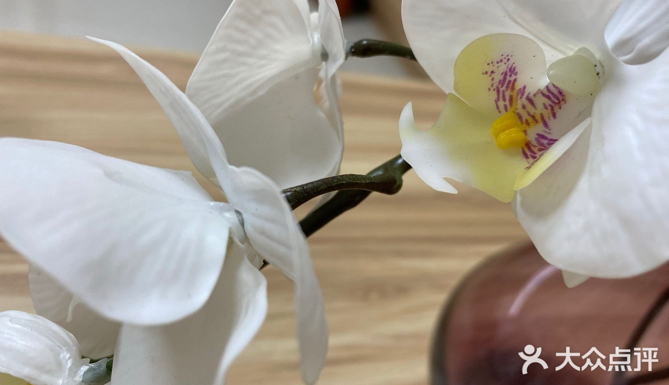 紫色花瓶配蝴蝶兰 宜家置办起来