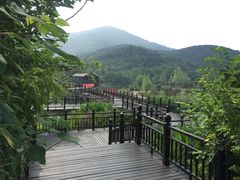 -石塘人家