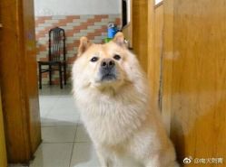 -墨無界刺青TATTOO