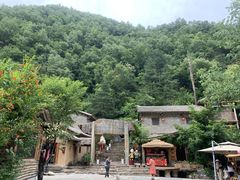 -牛背梁国家森林公园