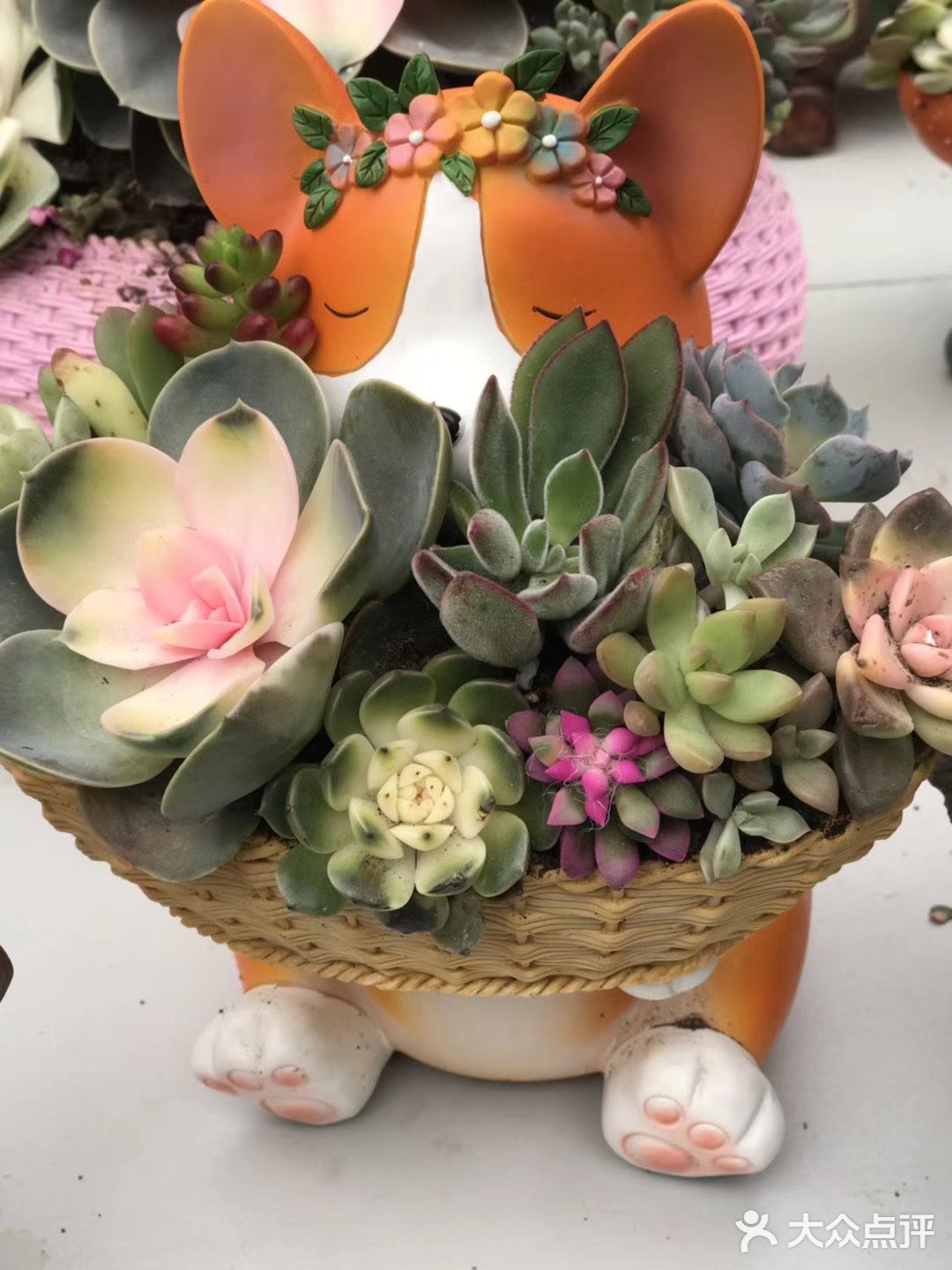 逛花市过年咯！
