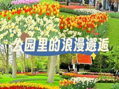 -库肯霍夫公园