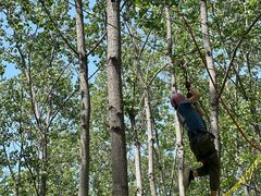 -合肥滨湖国家森林公园