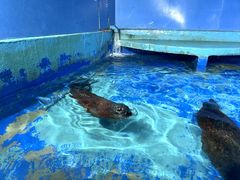 -太平洋海底世界