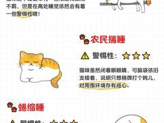 -lincat·猫舍(广州店)