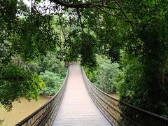 -南宁良凤江国家森林公园