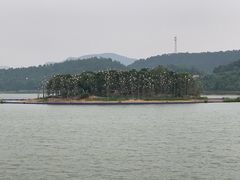 -美的鹭湖森林度假区