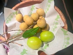 -季季山·云南野生菌火锅(上海首店)