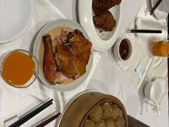 -凯鸽酒楼(操场城店)