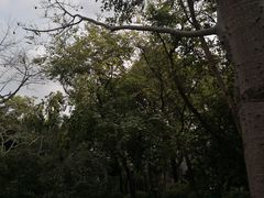 -烈士陵园(地铁站)