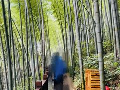 -天目湖御水温泉·度假酒店