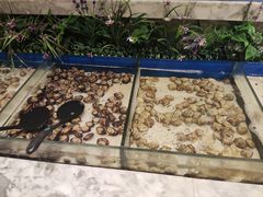 -火锅岛潮牌自助餐厅(天津天佑城店)